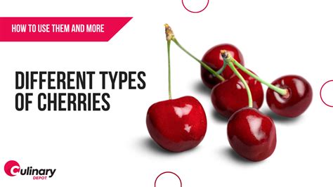 Different Types of Cherries: How to Use Them and more - Culinary Depot