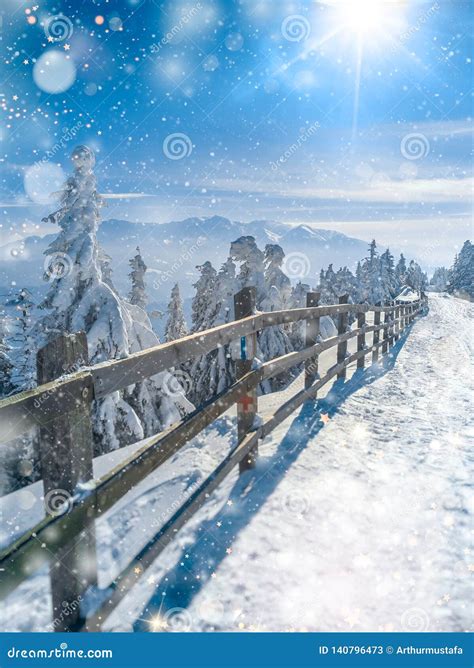 Beautiful Winter Wonderland Landscape. Christmas Scenic Background with Snow and Bokeh Soft ...