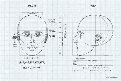 Draw Speak: Head Anatomy, Proportion, and Design