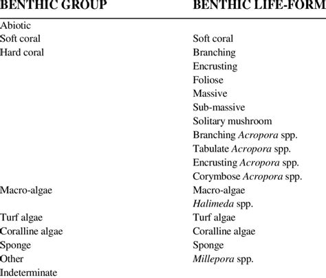 Categories of benthic organisms: benthic groups and benthic life-forms ...