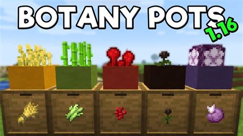 Botany Pots Mod Para Minecraft Minecrafteo | My XXX Hot Girl