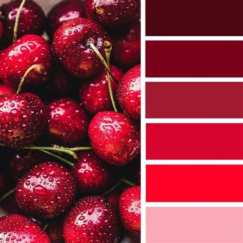 HugeDomains.com | Red colour palette, Red color schemes, Cherry red color