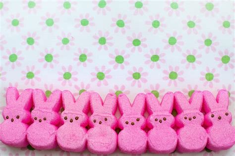 Peeps Pink Easter - Free photo on Pixabay - Pixabay