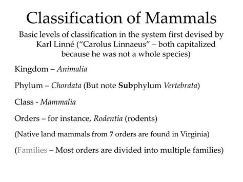 Mammal Classification Chart