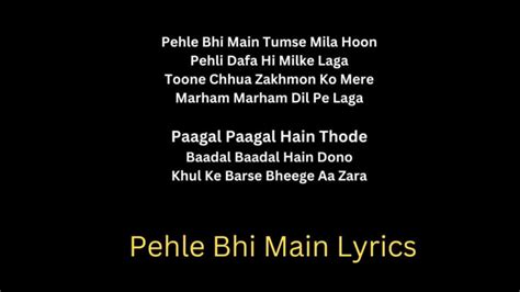 PEHLE BHI MAIN Lyrics | Ranbir Kapoor, Tripti Dimri Animal Amazing Song 2023