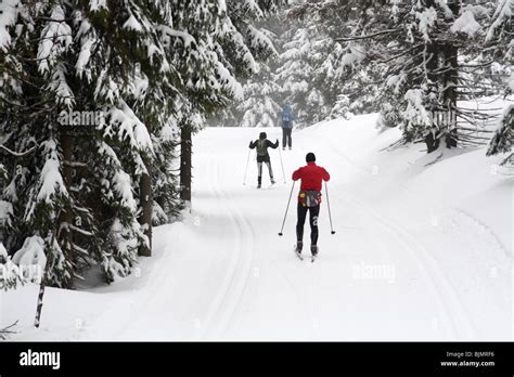 Cross country ski trail in Jakuszyce, Sudety Mountains, Poland Stock Photo - Alamy