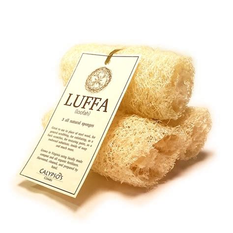 Organic Luffa Sponge