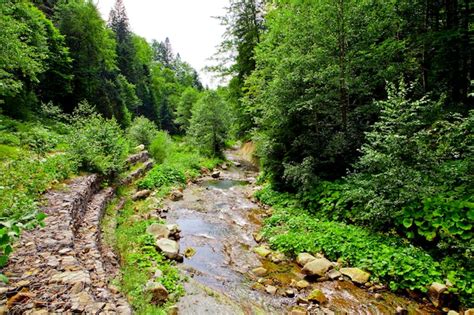 Premium Photo | Waterfall in the mountain forest