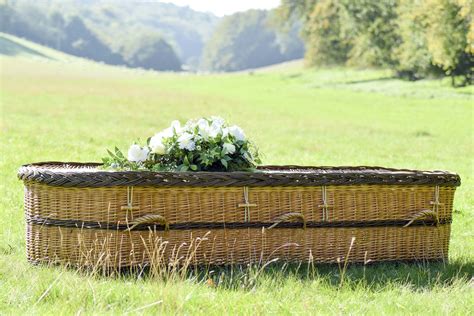 English Willow coffin