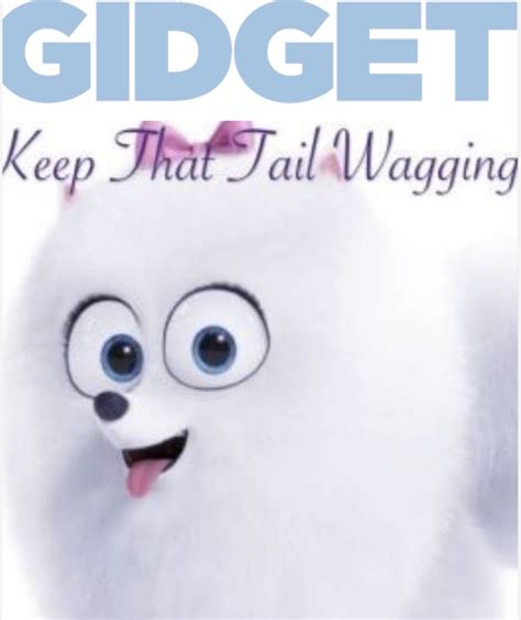 Gidget | Fandom