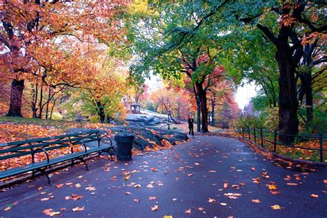 Fall Foliage Central Park | Flickr - Photo Sharing!