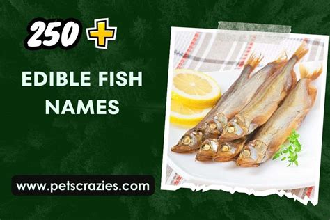 250+ Edible Fish Names (Decoding Your Seafood Menu)