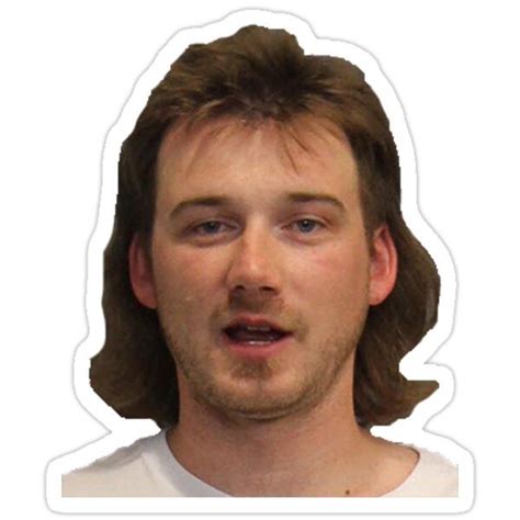 Morgan Wallen Mugshot Sticker | Mug shots, Heat transfer vinyl shirts ...