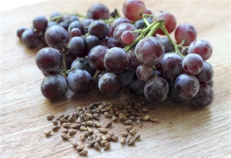 Vitality: The remarkable health benefits of grape seeds