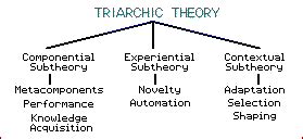 Learning Theories - The Theory Into Practice Database - IcebreakerIdeas