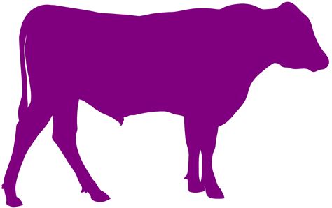 Angus Bull Silhouette | Free vector silhouettes