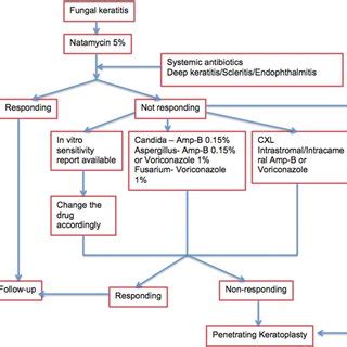 Currently available antifungal agents for treatment of mycotic keratitis | Download Table