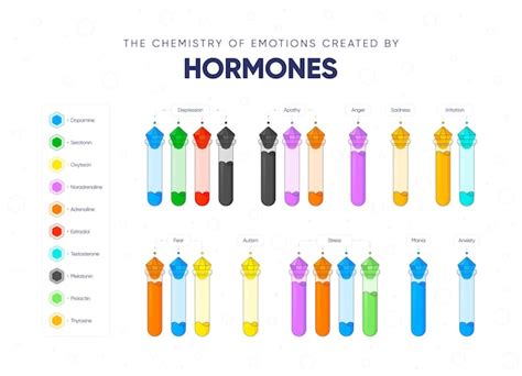 Premium Vector | The chemistry of emotions created by hormones vector ...