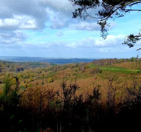 Hindhead Commons and the Devil's Punch Bowl: UPDATED 2021 All You Need to Know Before You Go ...