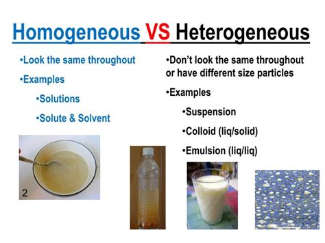 What Is Homogeneous State at Ramon Martin blog