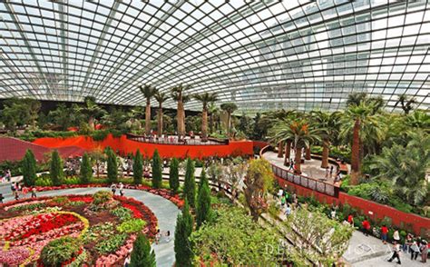 Singapore Flower Dome Enters Record Books – Destination Asia News