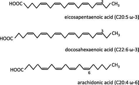 Structure and nomenclature of polyunsaturated fatty acids (PUFAs). Cx:y... | Download Scientific ...