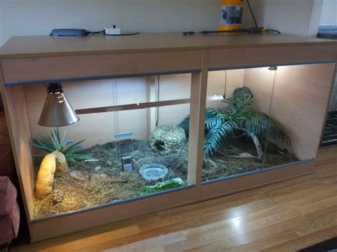 New indoor enclosure for my little leopard | Tortoise enclosure ...