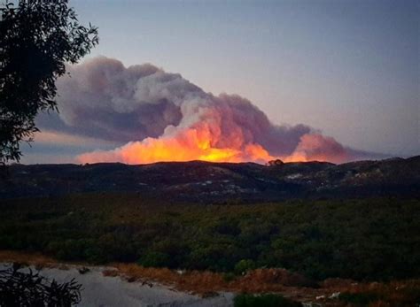 PERTH BUSHFIRE APPEAL | Rotary Club of Kalamunda