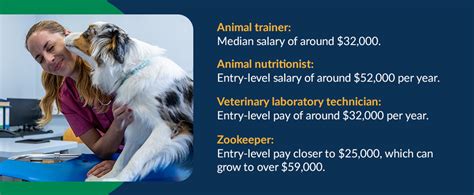 What Can You Do With a Veterinary Technician Degree? - Mount Wachusett ...