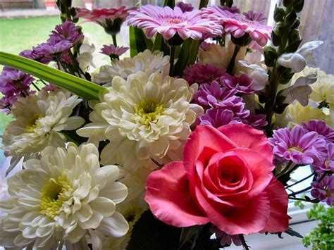 8 Great Flower Shops near Cleveland, Ohio - Gardening Channel