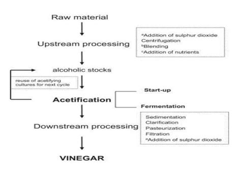 acetic acid production using microbes