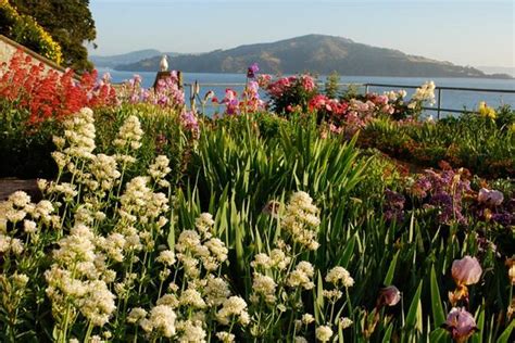 Gardens of Alcatraz : The Garden Conservancy