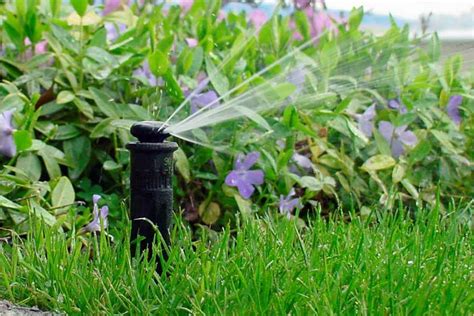 Maintain and Upgrade Your Irrigation System | Reno Green Landscaping