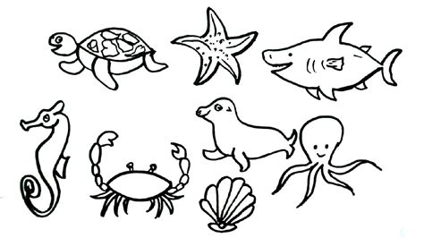 Sea Animals Drawing Easy Easy Step By Step Drawing Of Sea Animals For ...