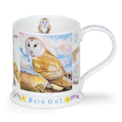 IONA WILDLIFE BARN OWL | Barn owl, Barn owl art, Pet birds