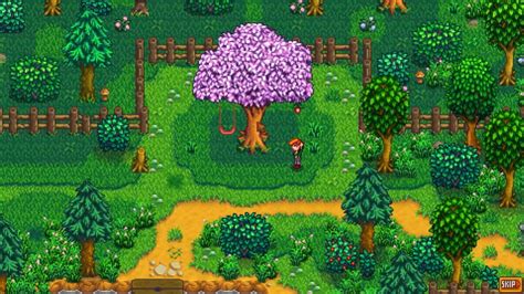 Leah's Schedule in Stardew Valley [2023]