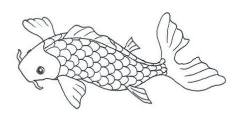 Download Sketsa Gambar Ikan Koi & 6 Tips Membuatnya