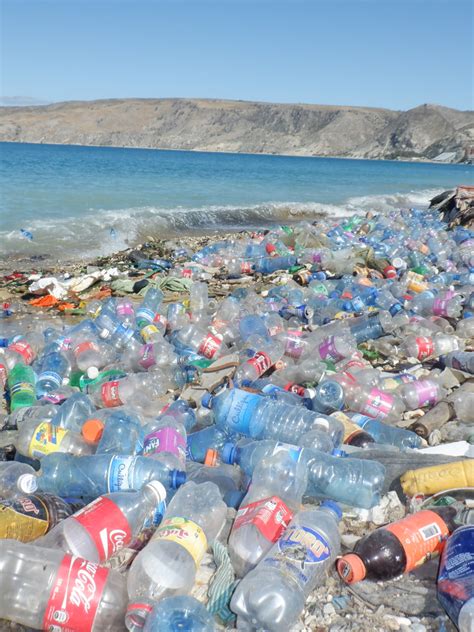 Ocean Plastic Pollution in Haiti | Nature conservation, Ocean projects, Water pollution