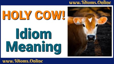 Holy Cow! Idiom Meaning - English Expression Videos - YouTube