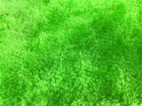 Green wool fabric texture used as background. Empty blue fabric background of soft and smooth ...