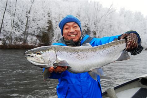 Michigan Steelhead Fishing | Muskegon River Steelhead Guides | Great ...