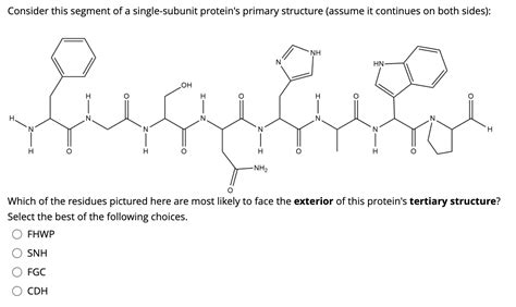 Solved Consider this segment of a single-subunit protein's | Chegg.com