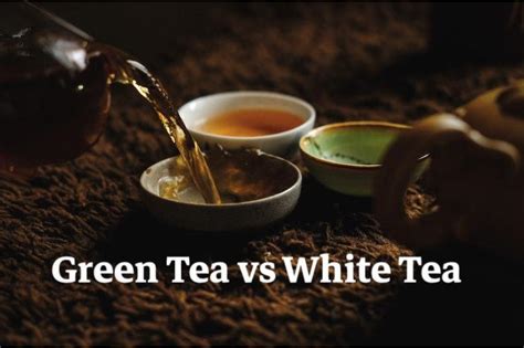 White Tea vs Green Tea: What's The Difference? | Teasenz