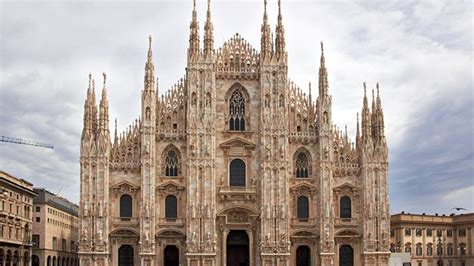 serrare ombrello Specialista cattedrale gotica pianta malato inverno sanguinoso