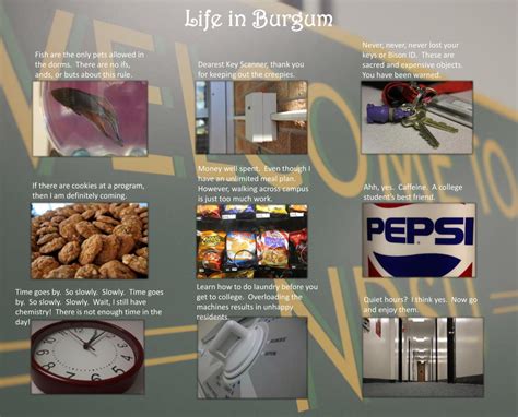 PPT - Life in Burgum PowerPoint Presentation, free download - ID:2250032