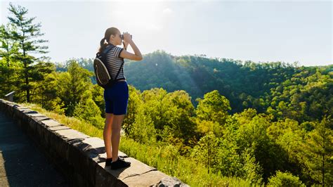 Tennessee’s state parks offering free, guided hikes in June | WHNT.com