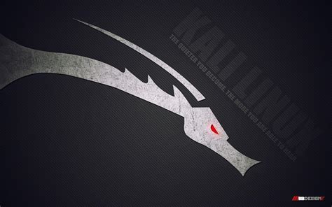 Kali Linux 4k Wallpapers - Top Free Kali Linux 4k Backgrounds ...