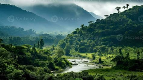 jungle french guiana rainforest ai generated 29109062 Stock Photo at Vecteezy