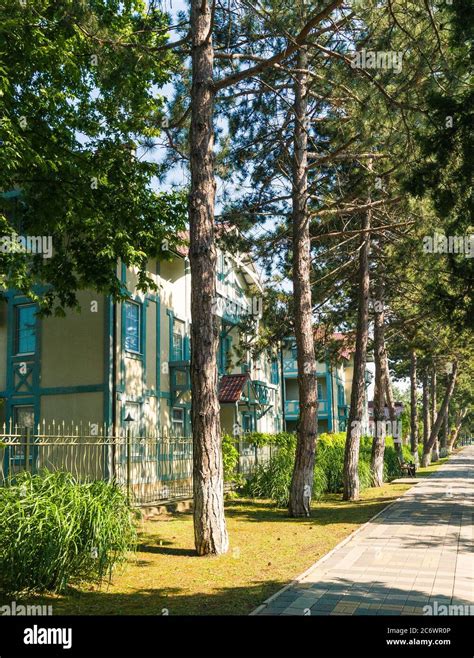 European house with landscaped design Stock Photo - Alamy