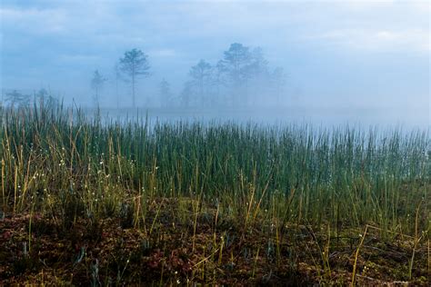 TOP 10 things to do in Estonian nature - Capture Estonia Nature and ...